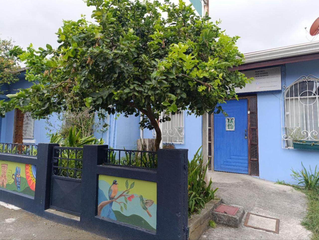 Hostel Casa Ridgway San Jose  Bagian luar foto